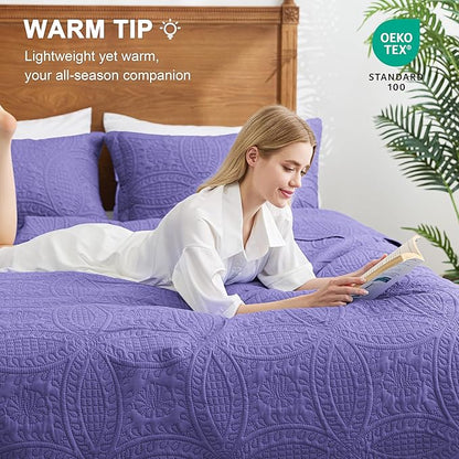 Love's cabin Quilts for Queen Bed Deep Purple Bedspreads Bedding Set - Summer Lightweight Bedspread Comforter - Coin Pattern Bedding Coverlet for All Season - 3 Pieces (1 Quilt, 2 Pillow Shams)