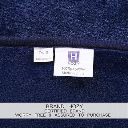 Soft King Size Blanket All Season Warm Fuzzy Microplush Lightweight Thermal Fleece Blankets for Couch Bed Sofa,90x108 Inches,Royal Blue