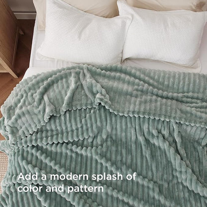 Bedsure GentleSoft Blankets Queen Size for Bed - Cozy Soft Blankets for Women, Cute Large Fleece Throws for Girls, Sage Green, 90x90 Inches