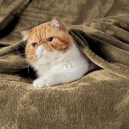 Bedsure GentleSoft Fleece Blankets Queen Size Camel - Bed Blanket Soft Lightweight Plush Fuzzy Cozy Luxury Microfiber, 90x90 inches