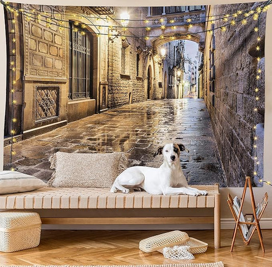 Lunarable City Tapestry, Narrow Street Gothic Design Architecture Carrer del Bisbe Barcelona Spain Europe, Wide Wall Hanging for Bedroom Living Room Dorm, 80" X 60", Tan Pale Brown