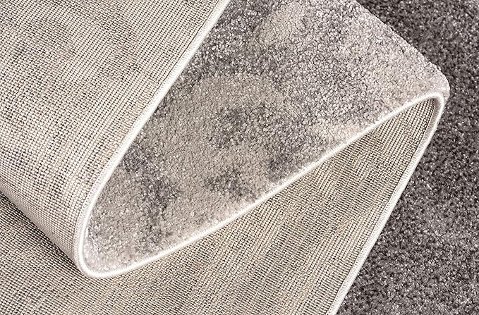RUG BRANCH New Zealand Plush 4' x 6' (3'9" X 5'6") Modern Indoor Area Rug, Contemporary, Grey Beige - Living Room, Bedroom, Dining Room, and Kitchen