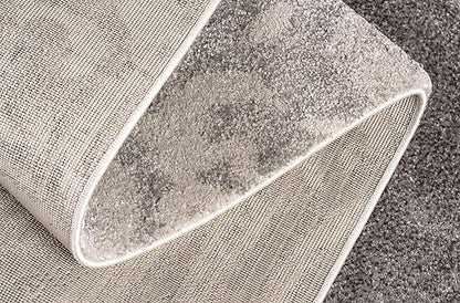 RUG BRANCH New Zealand Plush 4' x 6' (3'9" X 5'6") Modern Indoor Area Rug, Contemporary, Grey Beige - Living Room, Bedroom, Dining Room, and Kitchen